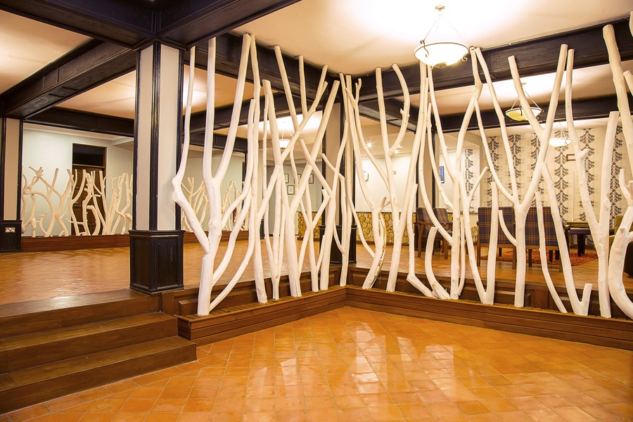Forest Suite